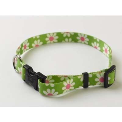 Yellow Dog Design Uptown Collar Green Daisy Double Sided Small 10''-14'' RRP 14.99 CLEARANCE XL 7.50